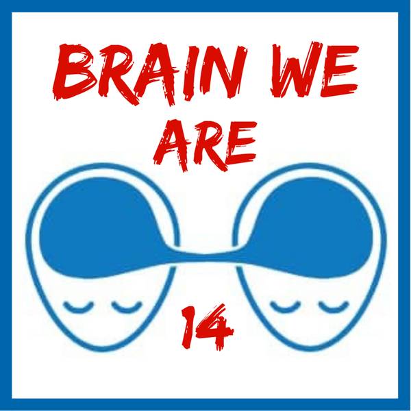 Brain We Are CZ